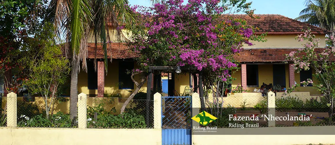 Fazenda 'Nhecolandia', Pantanal Brazil
