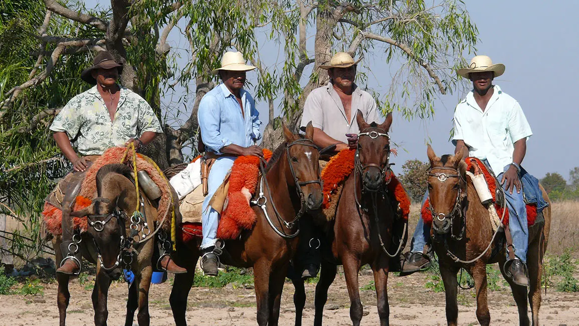 Pantanal