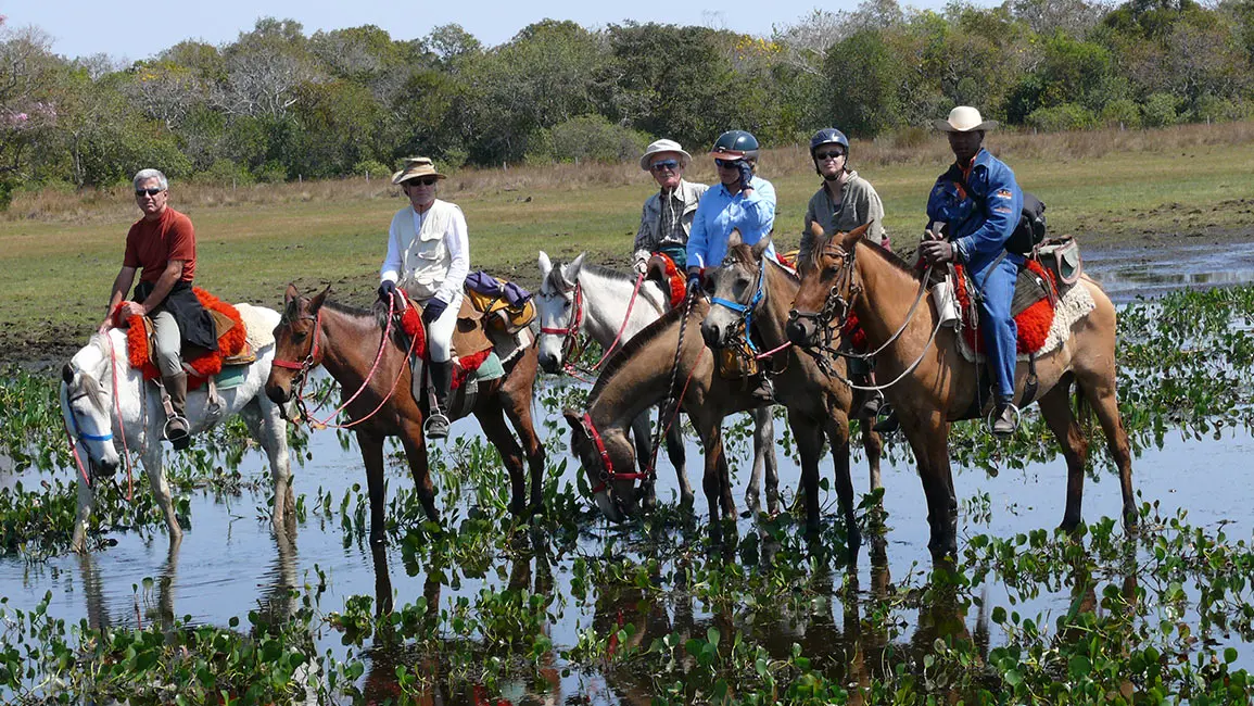 Pantanal