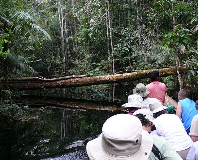Amazonas