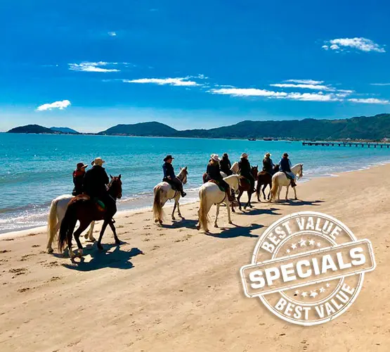 Horses, Nature, and Cariocas