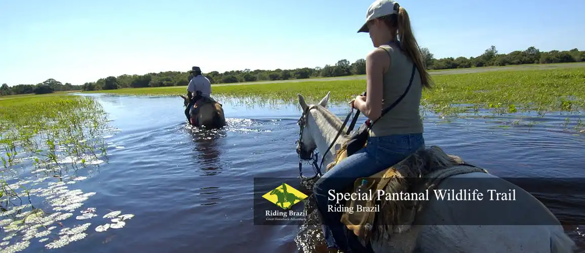 Special Pantanal Trail Ride