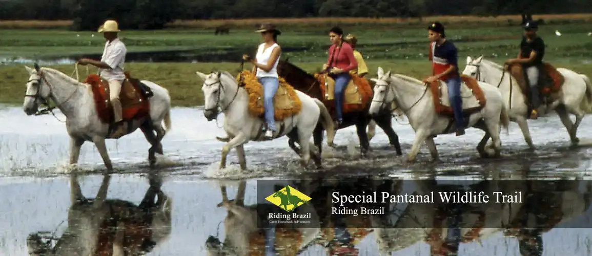Special Pantanal Trail Ride