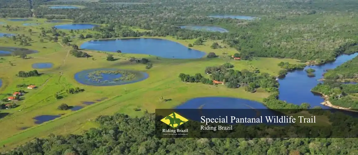 Special Pantanal Trail Ride