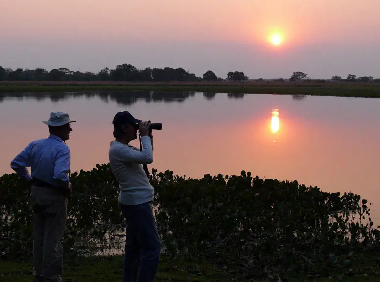 Wildlife observation close to sundown 