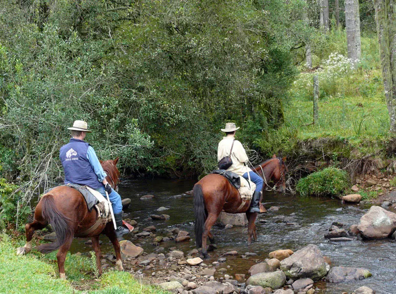 Creak crossing 