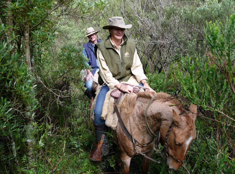 Rding through bracatinga forest 